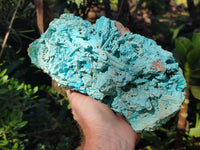 Natural Chrysocolla Blade Crystal Pseudomorph after Malachite with Azurite, Malachite and Heterogenite Crystallization x 1 From Lupoto Mine, Congo - Toprock Gemstones and Minerals 
