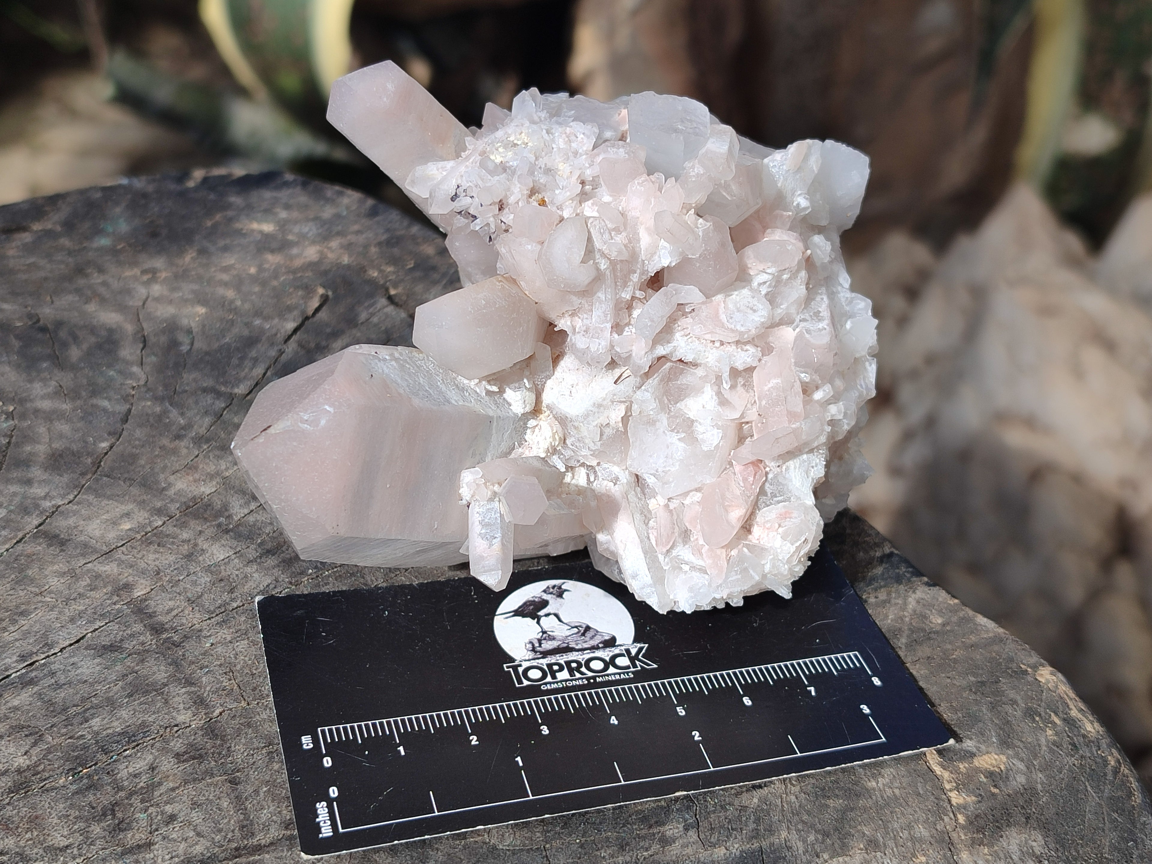 Natural Mixed Quartz Clusters x 4 From Madagascar - Toprock Gemstones and Minerals 