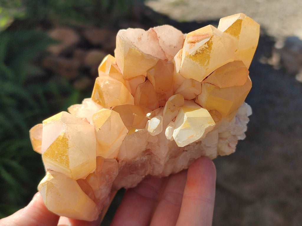 Natural Mixed Quartz Clusters x 4 From Madagascar - Toprock Gemstones and Minerals 