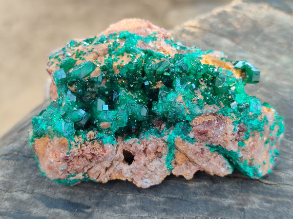 Natural Large Dioptase On Dolomite Specimens x 3 From Mashamba East Mine, Congo