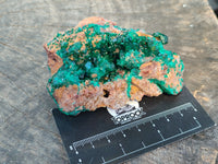 Natural Large Dioptase On Dolomite Specimens x 3 From Mashamba East Mine, Congo - Toprock Gemstones and Minerals 
