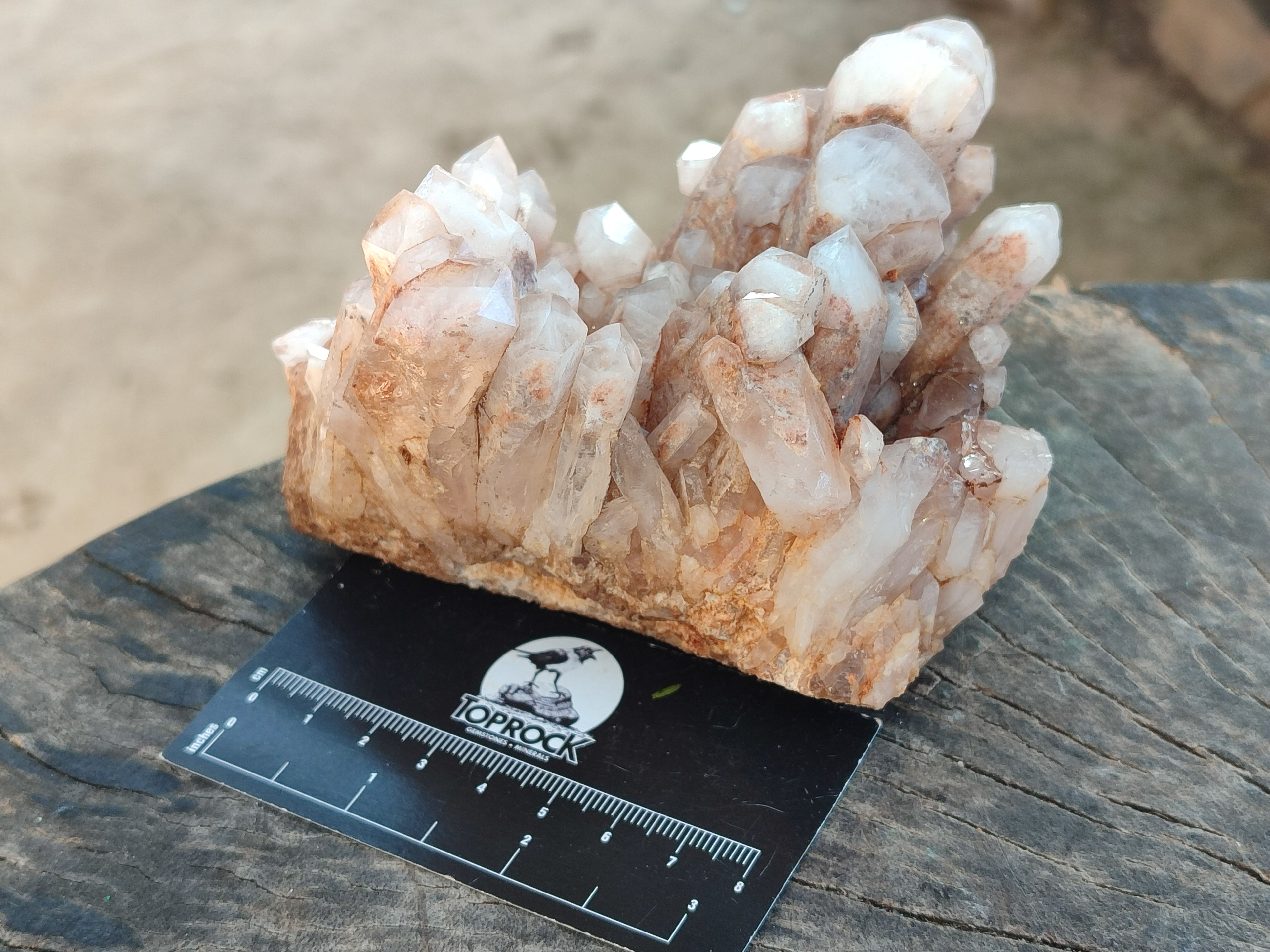 Natural White Phantom and Hematoid Quartz Crystal Clusters x 3 From Madagascar - Toprock Gemstones and Minerals 