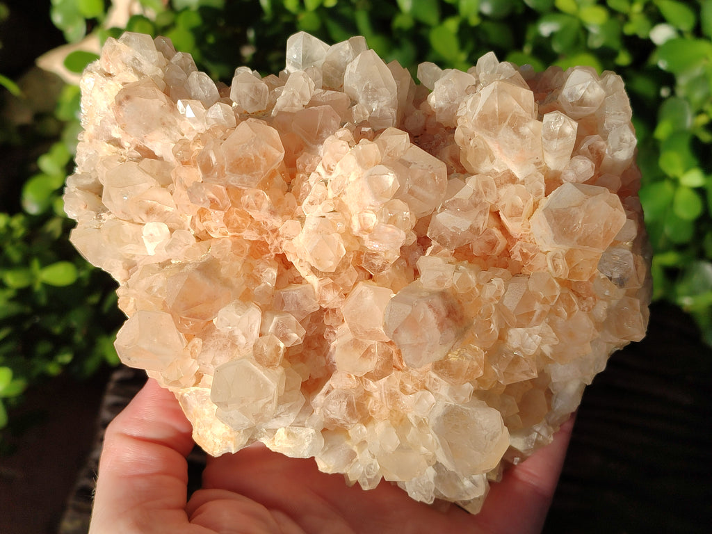 Natural White Phantom and Hematoid Quartz Crystal Clusters x 3 From Madagascar - Toprock Gemstones and Minerals 