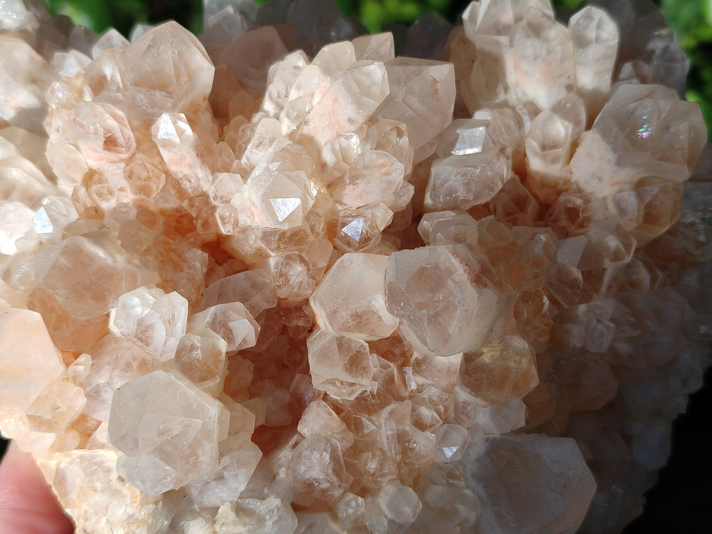 Natural White Phantom and Hematoid Quartz Crystal Clusters x 3 From Madagascar - Toprock Gemstones and Minerals 
