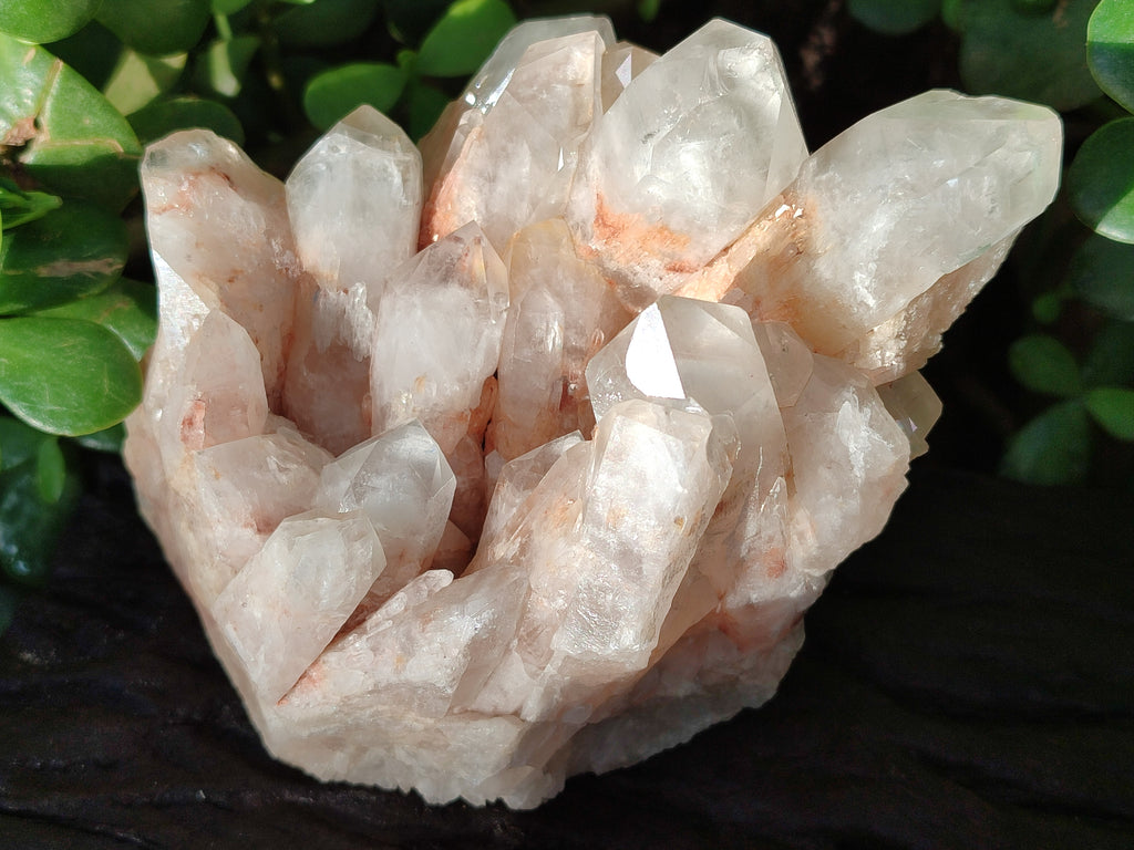 Natural White Phantom and Hematoid Quartz Crystal Clusters x 3 From Madagascar - Toprock Gemstones and Minerals 