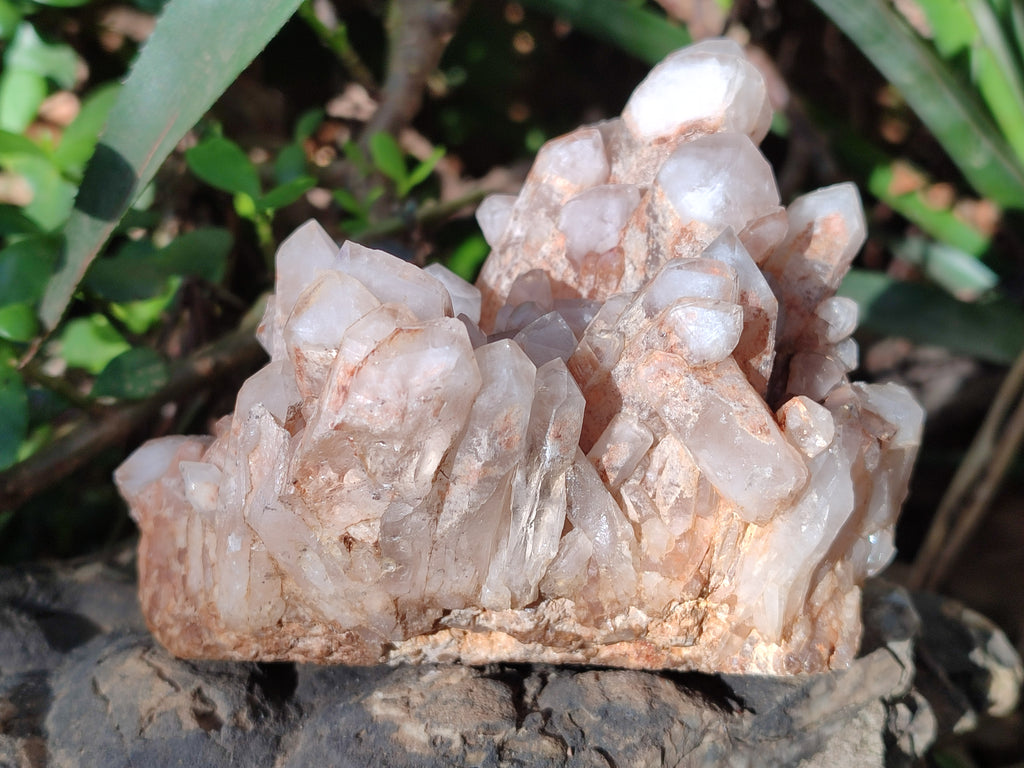 Natural White Phantom and Hematoid Quartz Crystal Clusters x 3 From Madagascar - Toprock Gemstones and Minerals 