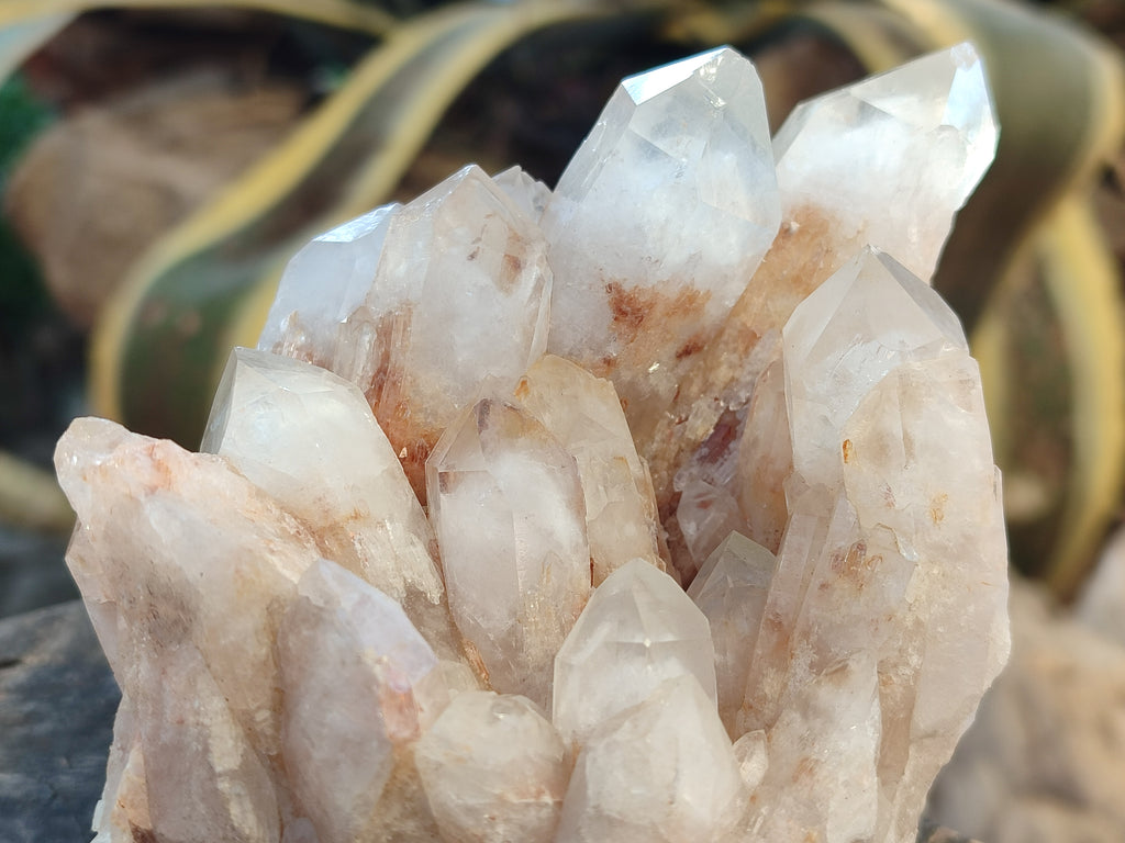 Natural White Phantom and Hematoid Quartz Crystal Clusters x 3 From Madagascar - Toprock Gemstones and Minerals 