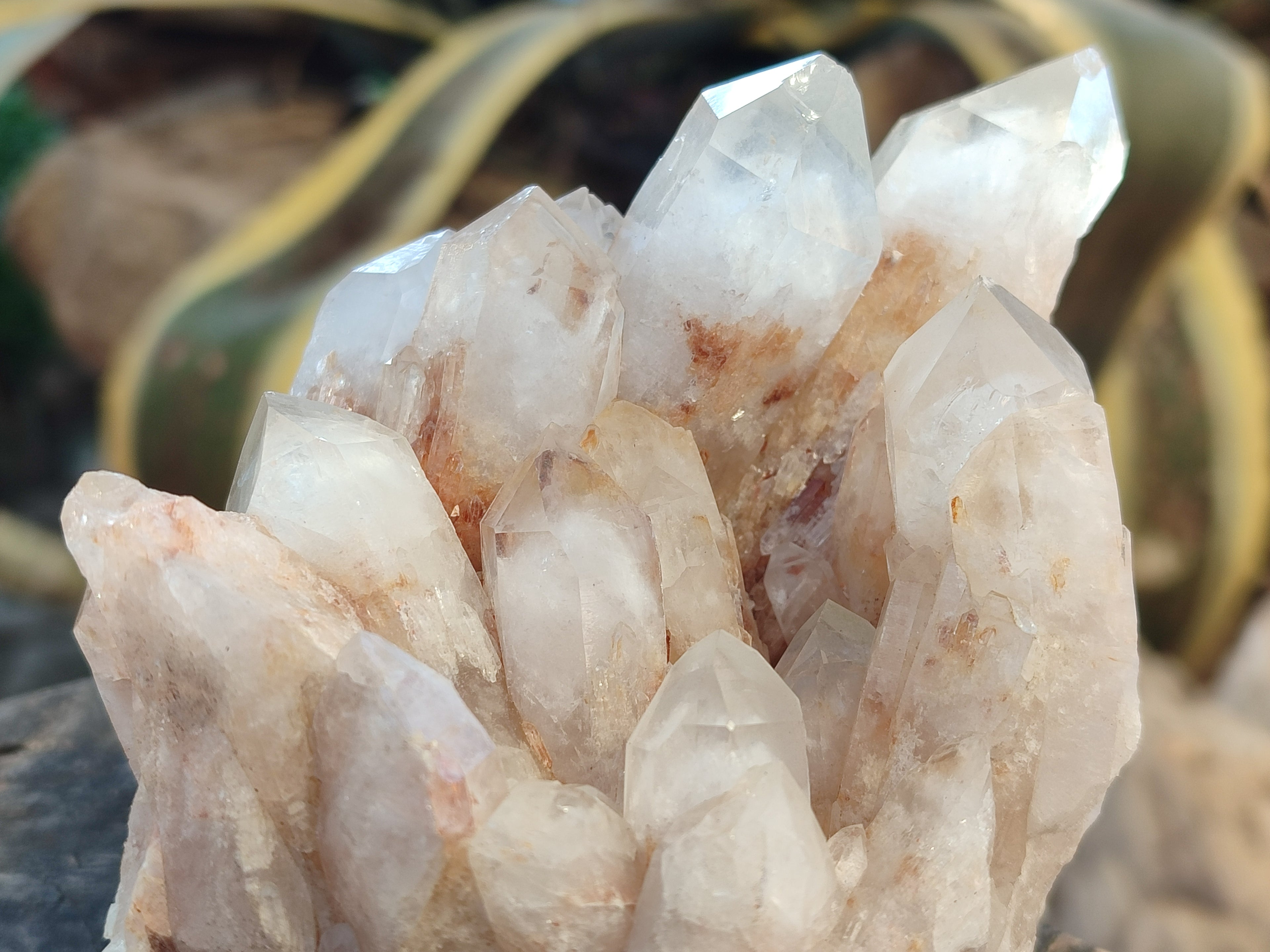 Natural White Phantom and Hematoid Quartz Crystal Clusters x 3 From Madagascar - Toprock Gemstones and Minerals 