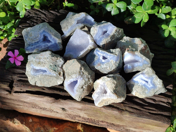 Natural Blue Lace Agate Geode Specimens x 12 From Nsanje, Malawi