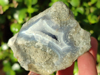 Natural Blue Lace Agate Geode Specimens x 12 From Nsanje, Malawi