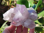 Natural Jacaranda Amethyst Quartz Cluster x 6 From Mumbwa, Zambia - Toprock Gemstones and Minerals 