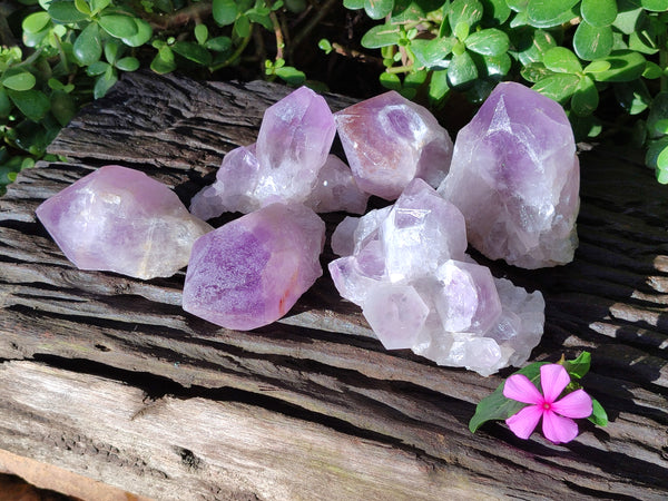 Natural Jacaranda Amethyst Quartz Cluster x 6 From Mumbwa, Zambia