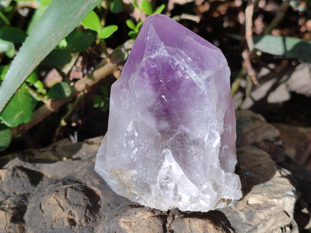 Natural Jacaranda Amethyst Quartz Cluster x 6 From Mumbwa, Zambia - Toprock Gemstones and Minerals 