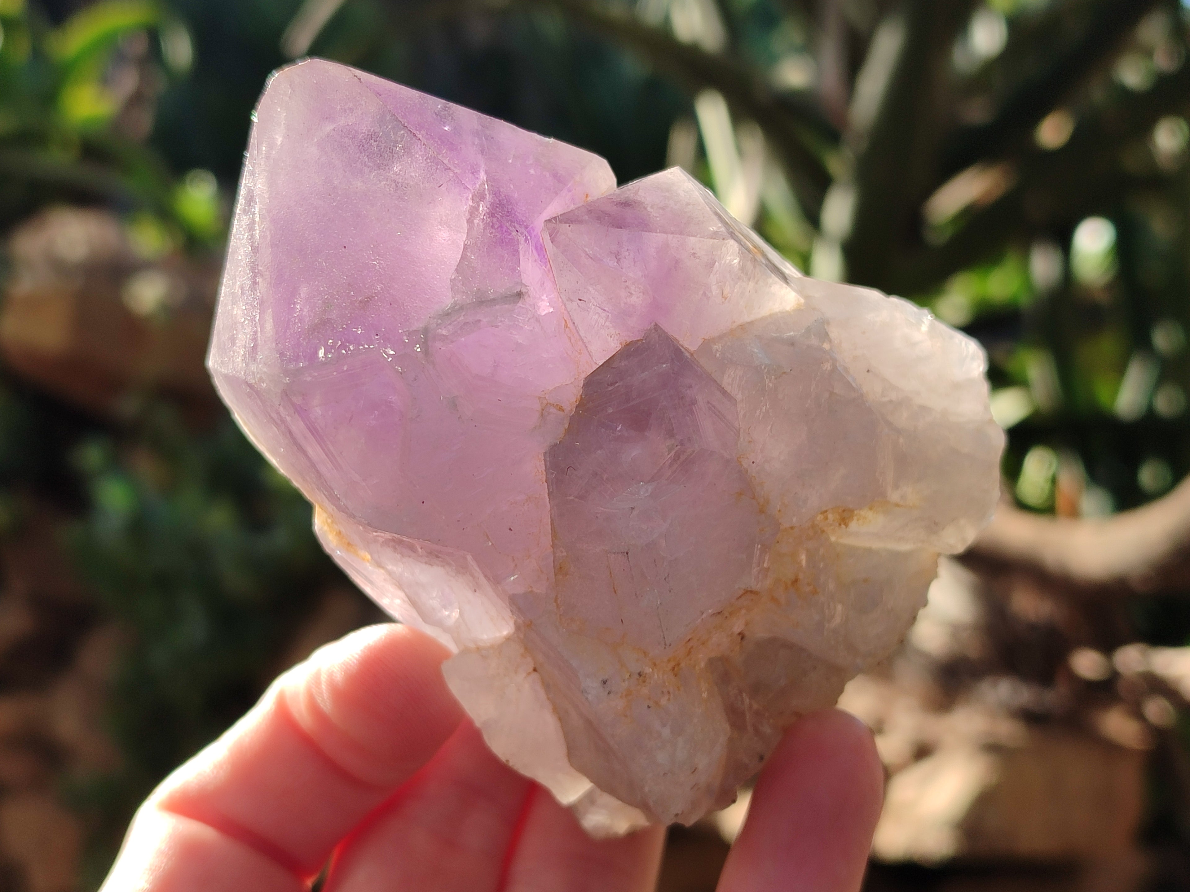 Natural Jacaranda Amethyst Quartz Cluster x 6 From Mumbwa, Zambia - Toprock Gemstones and Minerals 