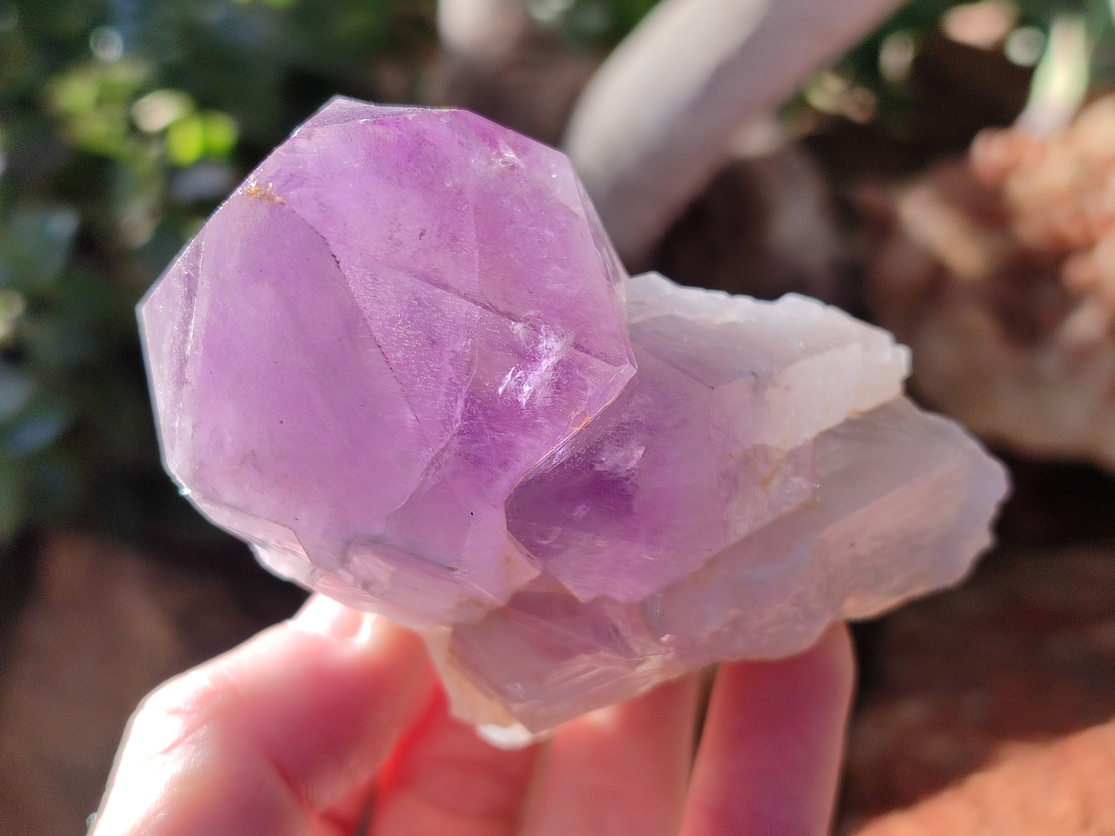 Natural Jacaranda Amethyst Quartz Cluster x 6 From Mumbwa, Zambia - Toprock Gemstones and Minerals 