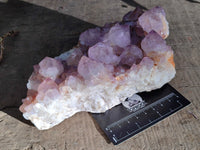 Natural Amethyst Cactus Flower Spirit Quartz Cluster x 2 From South Africa