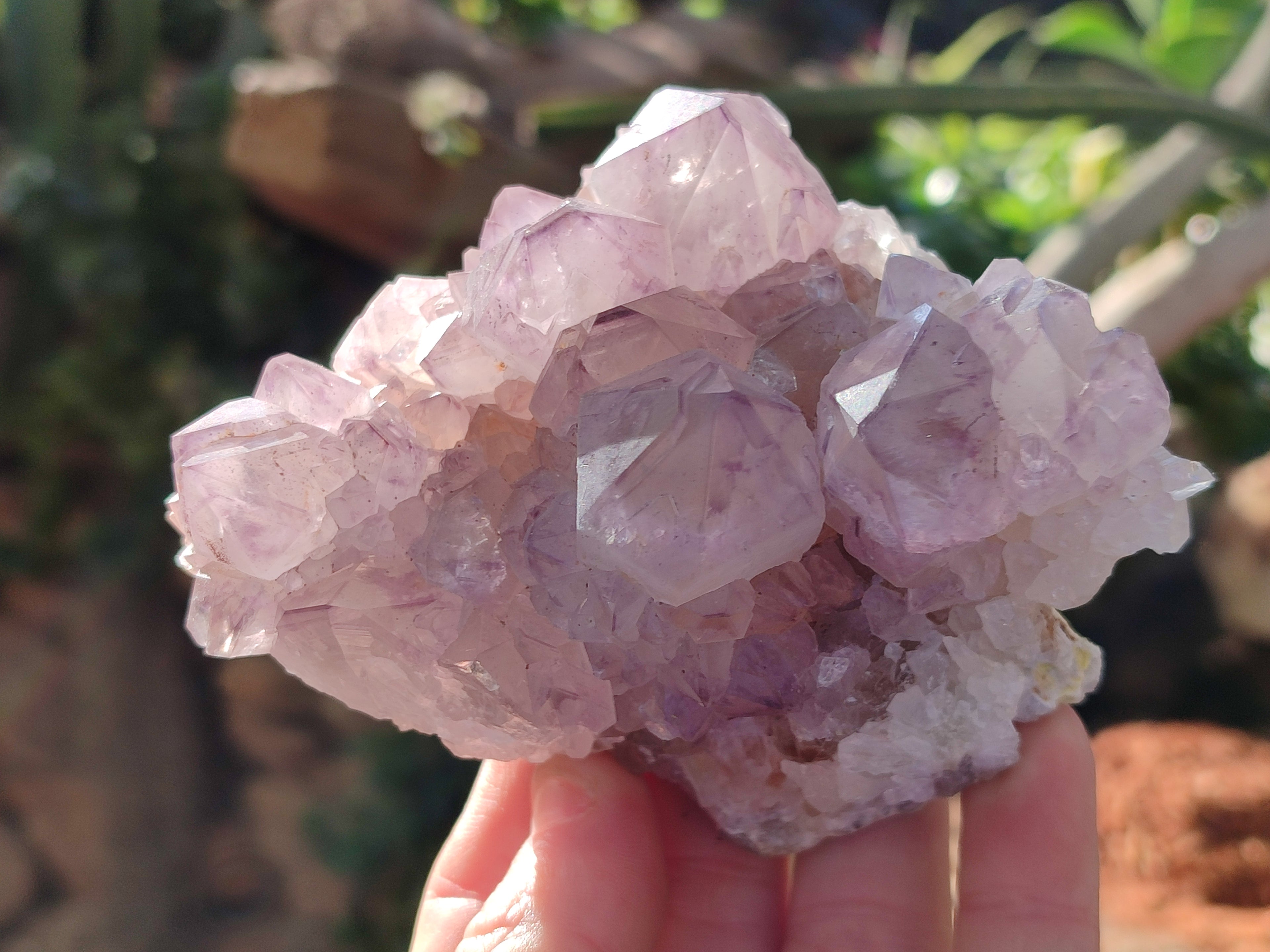 Natural Amethyst Cactus Flower Spirit Quartz Cluster x 2 From South Africa - Toprock Gemstones and Minerals 