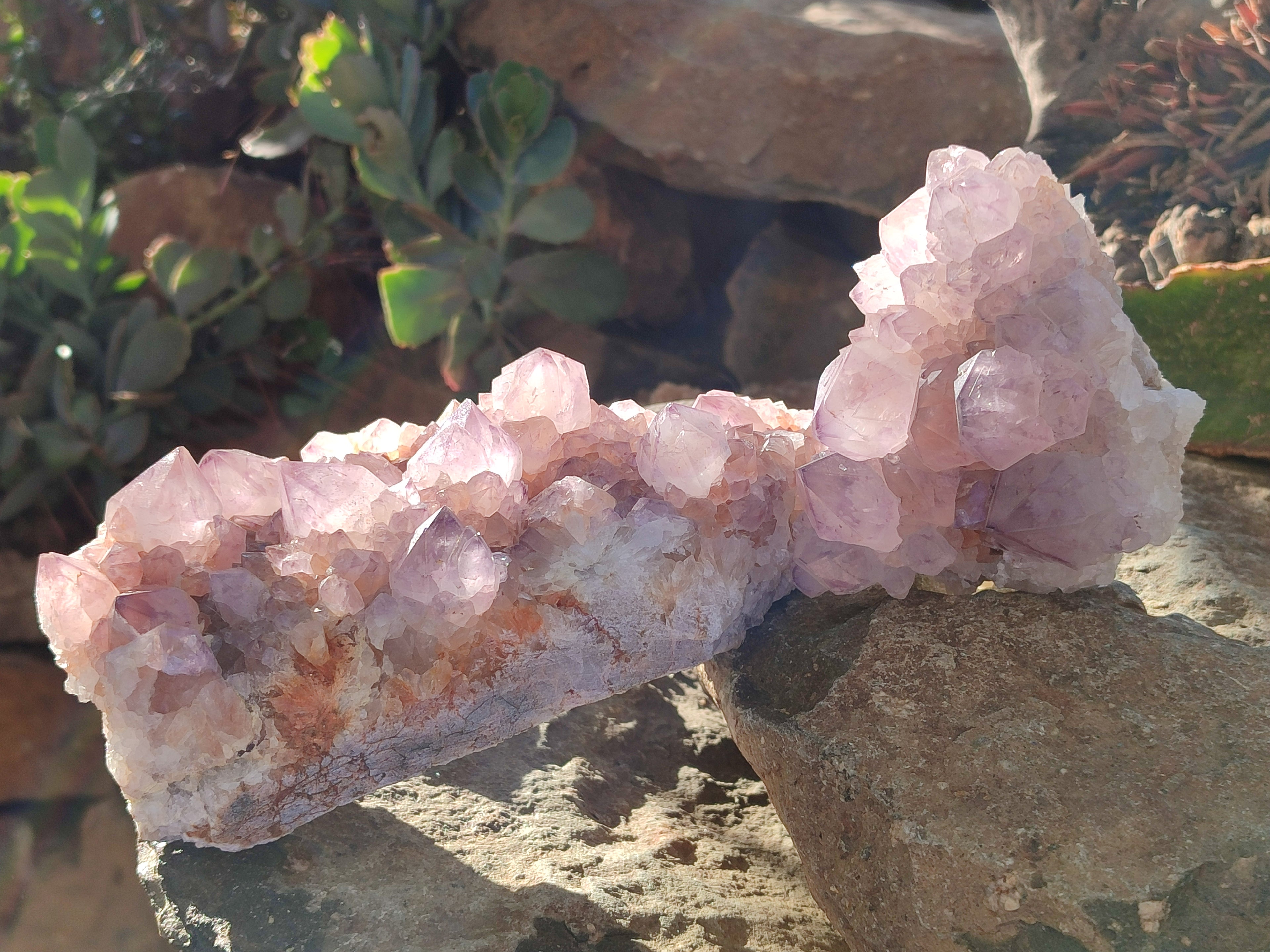 Natural Amethyst Cactus Flower Spirit Quartz Cluster x 2 From South Africa - Toprock Gemstones and Minerals 