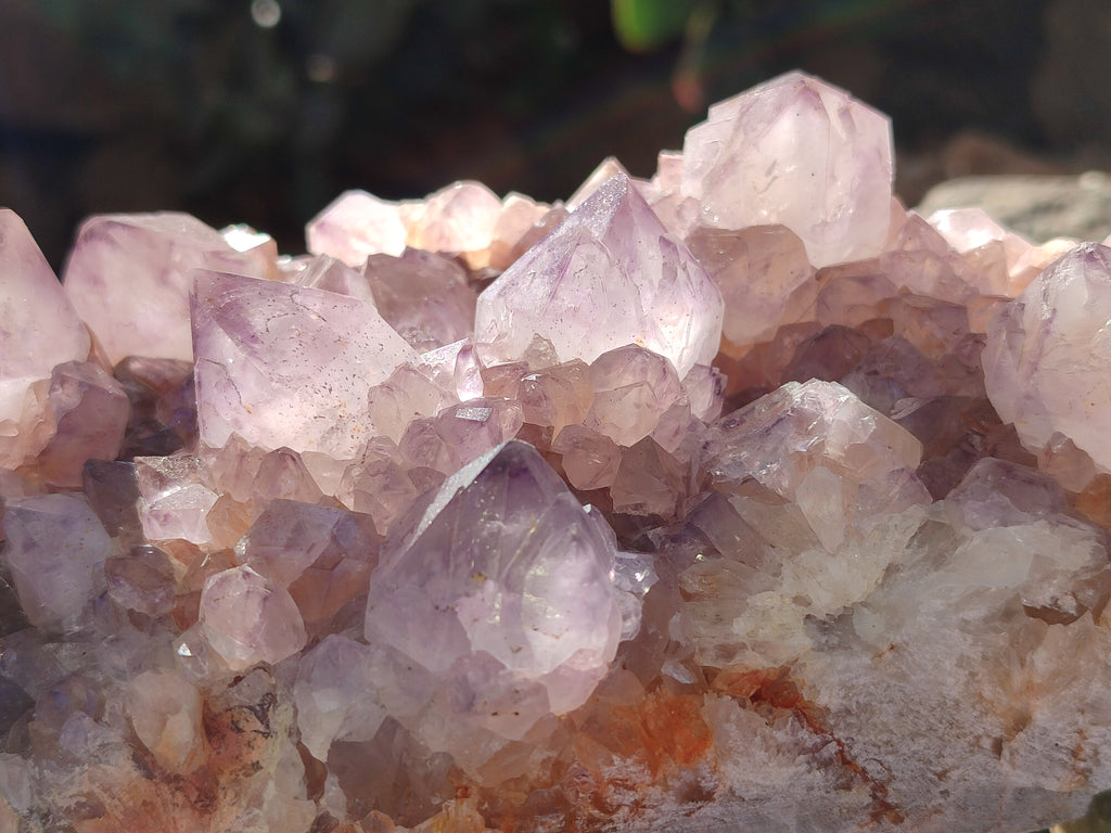 Natural Amethyst Cactus Flower Spirit Quartz Cluster x 2 From South Africa - Toprock Gemstones and Minerals 