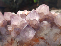 Natural Amethyst Cactus Flower Spirit Quartz Cluster x 2 From South Africa