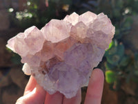 Natural Amethyst Cactus Flower Spirit Quartz Cluster x 2 From South Africa