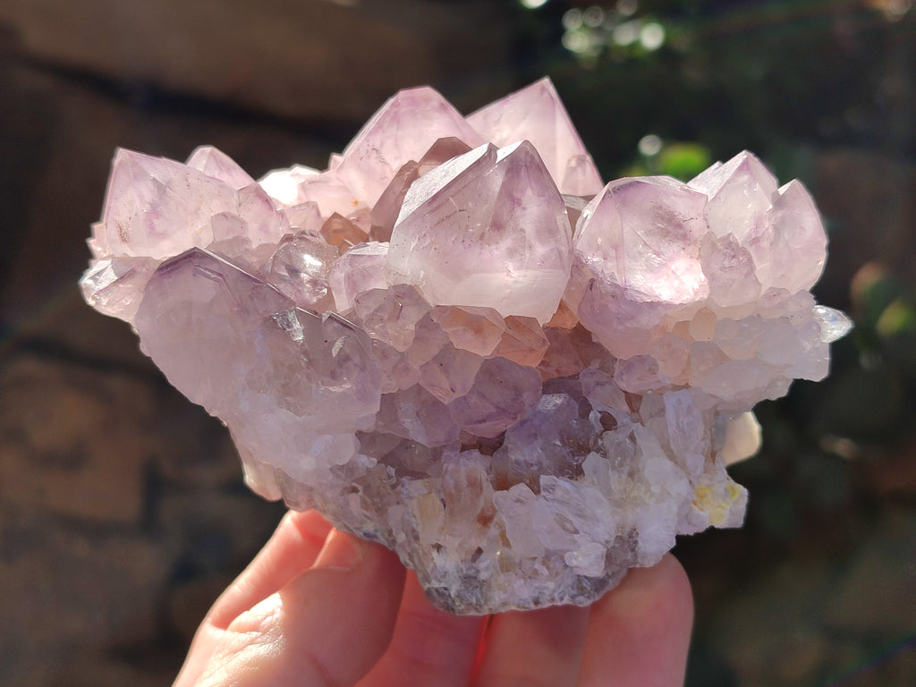 Natural Amethyst Cactus Flower Spirit Quartz Cluster x 2 From South Africa - Toprock Gemstones and Minerals 