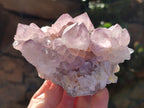 Natural Amethyst Cactus Flower Spirit Quartz Cluster x 2 From South Africa - Toprock Gemstones and Minerals 