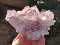 Natural Amethyst Cactus Flower Spirit Quartz Cluster x 2 From South Africa