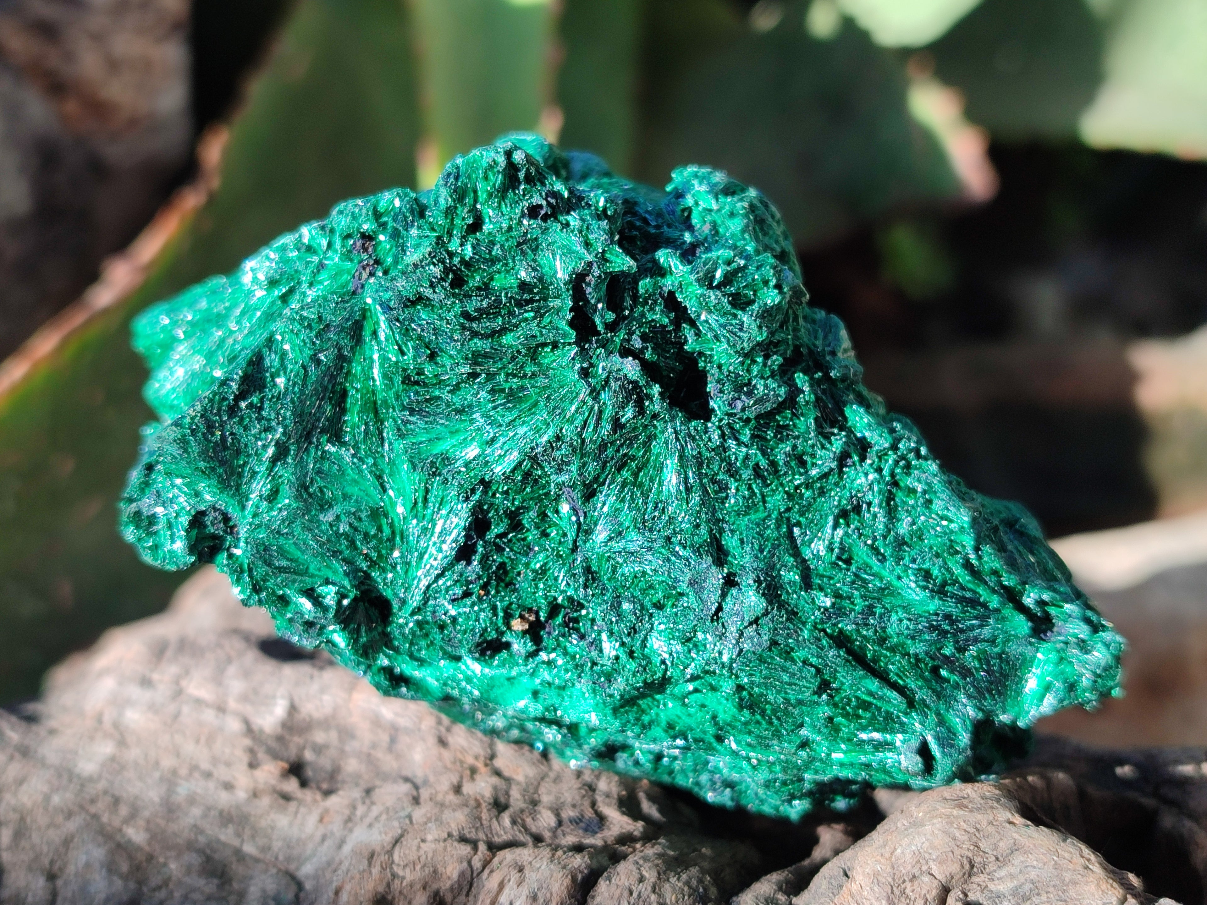 Natural Silky Malachite Specimens x 4 From Kasompe, Congo - Toprock Gemstones and Minerals 