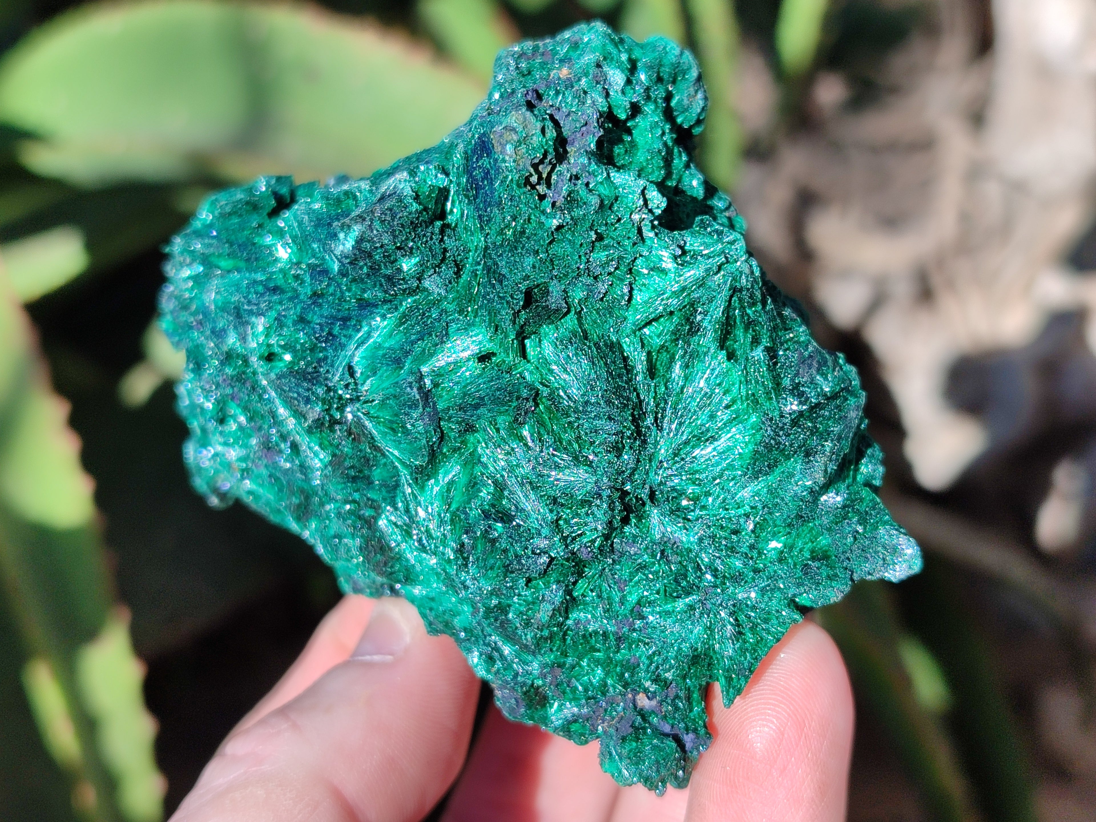 Natural Silky Malachite Specimens x 4 From Kasompe, Congo - Toprock Gemstones and Minerals 