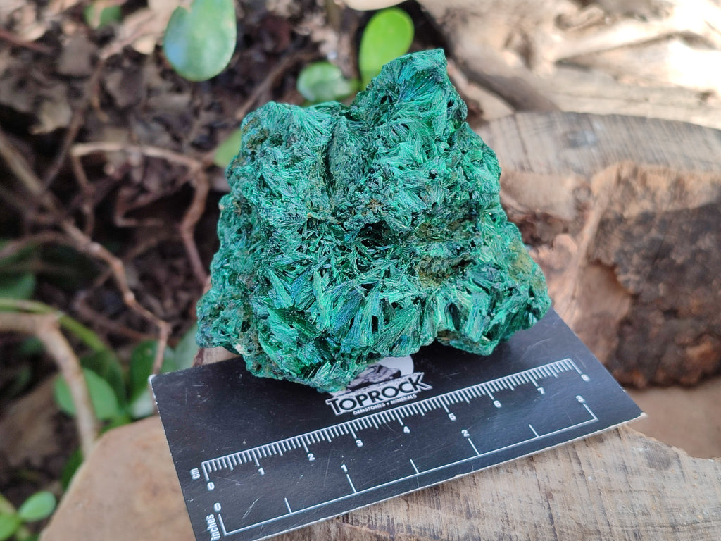 Natural Silky Malachite Specimens x 4 From Kasompe, Congo - Toprock Gemstones and Minerals 