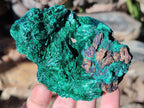 Natural Silky Malachite Specimens x 4 From Kasompe, Congo - Toprock Gemstones and Minerals 