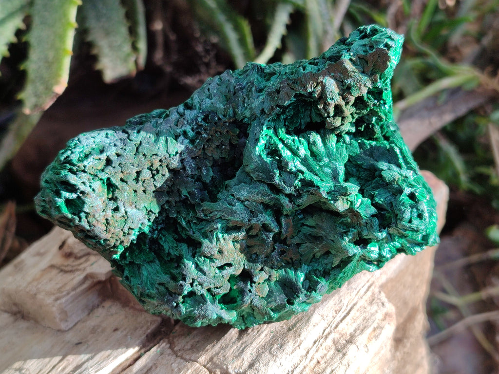 Natural Silky Malachite Specimens x 4 From Kasompe, Congo - Toprock Gemstones and Minerals 