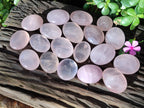 Polished Rose Quartz Palm Stones x 24 From Ambatondrazaka, Madagascar - Toprock Gemstones and Minerals 