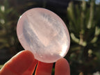 Polished Rose Quartz Palm Stones x 24 From Ambatondrazaka, Madagascar - Toprock Gemstones and Minerals 