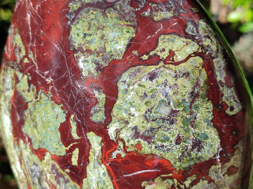 Polished Large Bastite Dragons Blood Stone Standing Free Form x 1 From Tshipise, South Africa - Toprock Gemstones and Minerals 