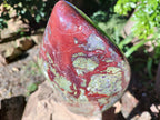 Polished Large Bastite Dragons Blood Stone Standing Free Form x 1 From Tshipise, South Africa - Toprock Gemstones and Minerals 