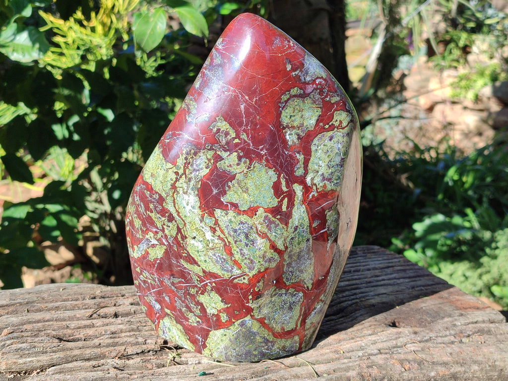 Polished Large Bastite Dragons Blood Stone Standing Free Form x 1 From Tshipise, South Africa - Toprock Gemstones and Minerals 