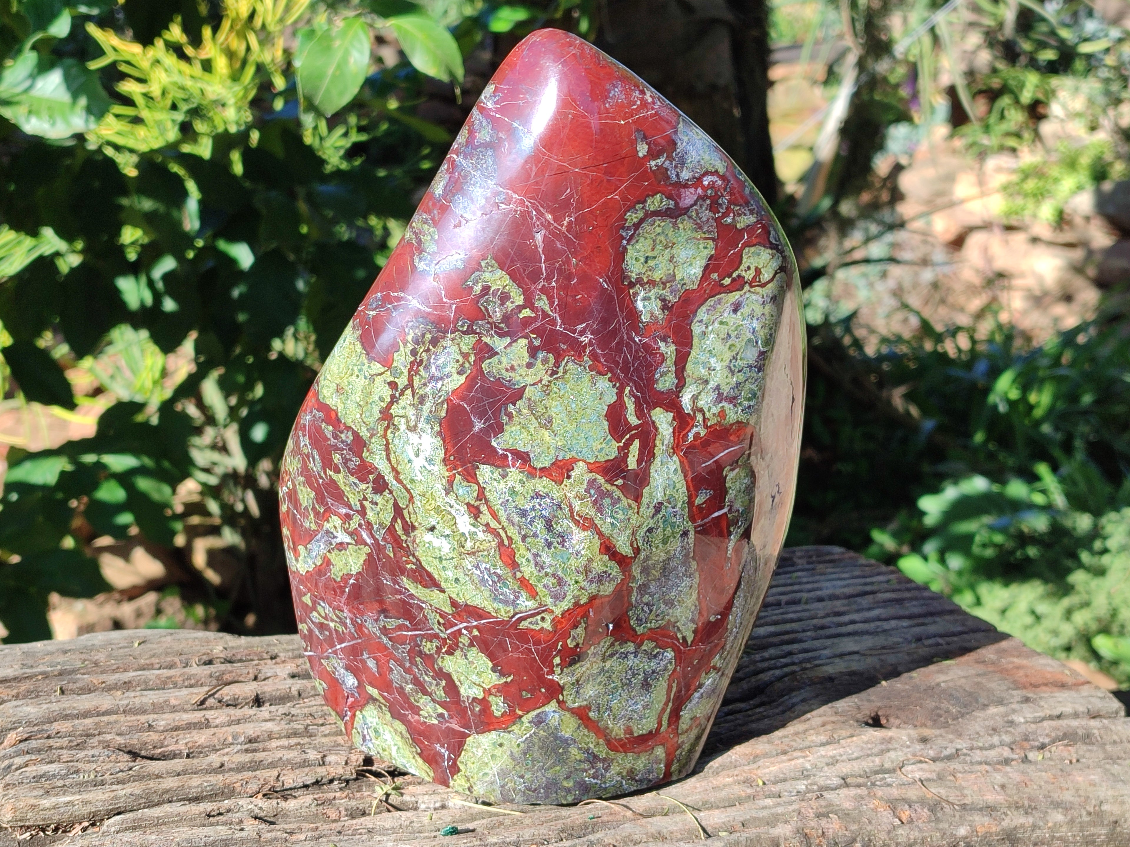 Polished Large Bastite Dragons Blood Stone Standing Free Form x 1 From Tshipise, South Africa - Toprock Gemstones and Minerals 