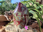 Polished Large Bastite Dragons Blood Stone Standing Free Form x 1 From Tshipise, South Africa - Toprock Gemstones and Minerals 