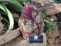 Polished Large Bastite Dragons Blood Stone Standing Free Form x 1 From Tshipise, South Africa - Toprock Gemstones and Minerals 