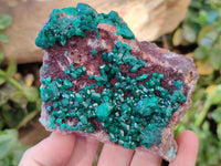 Natural Dioptase with Malachite and Shattuckite On Dolomite Specimens x 3 From Likasi, Congo - Toprock Gemstones and Minerals 