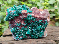 Natural Dioptase with Malachite and Shattuckite On Dolomite Specimens x 3 From Likasi, Congo - Toprock Gemstones and Minerals 