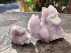 Natural Amethyst Cactus Flower Spirit Quartz Cluster x 12 From South Africa - Toprock Gemstones and Minerals 