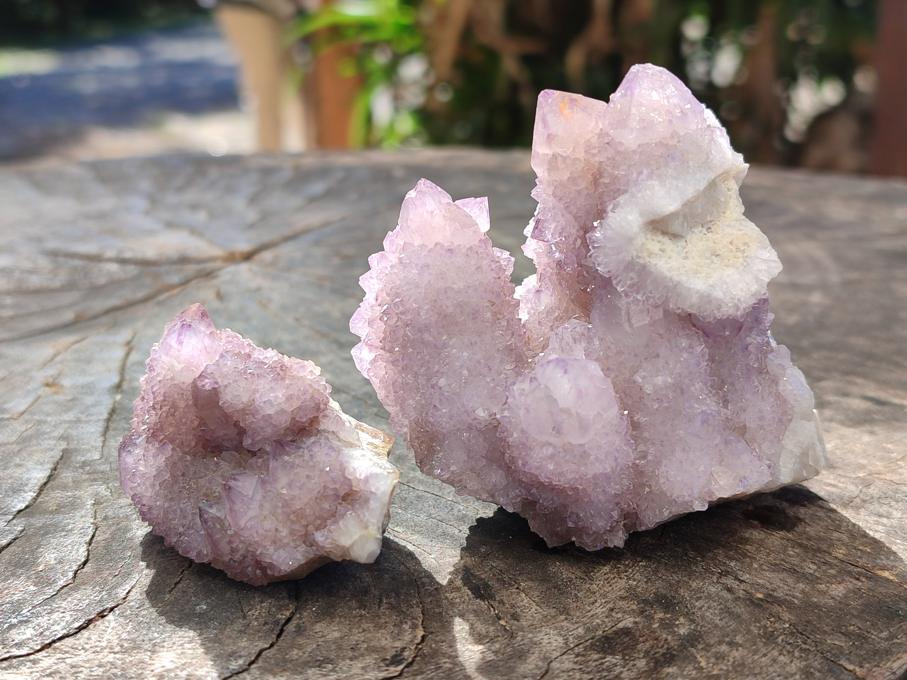 Natural Amethyst Cactus Flower Spirit Quartz Cluster x 12 From South Africa - Toprock Gemstones and Minerals 