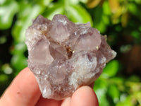 Natural Amethyst Cactus Flower Spirit Quartz Cluster x 12 From South Africa