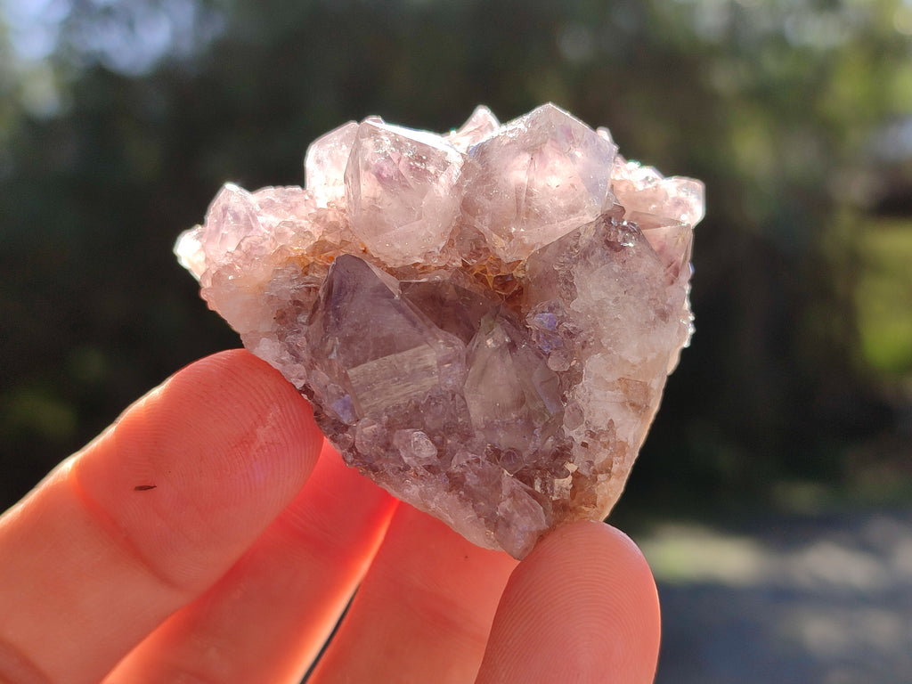 Natural Amethyst Cactus Flower Spirit Quartz Cluster x 12 From South Africa - Toprock Gemstones and Minerals 