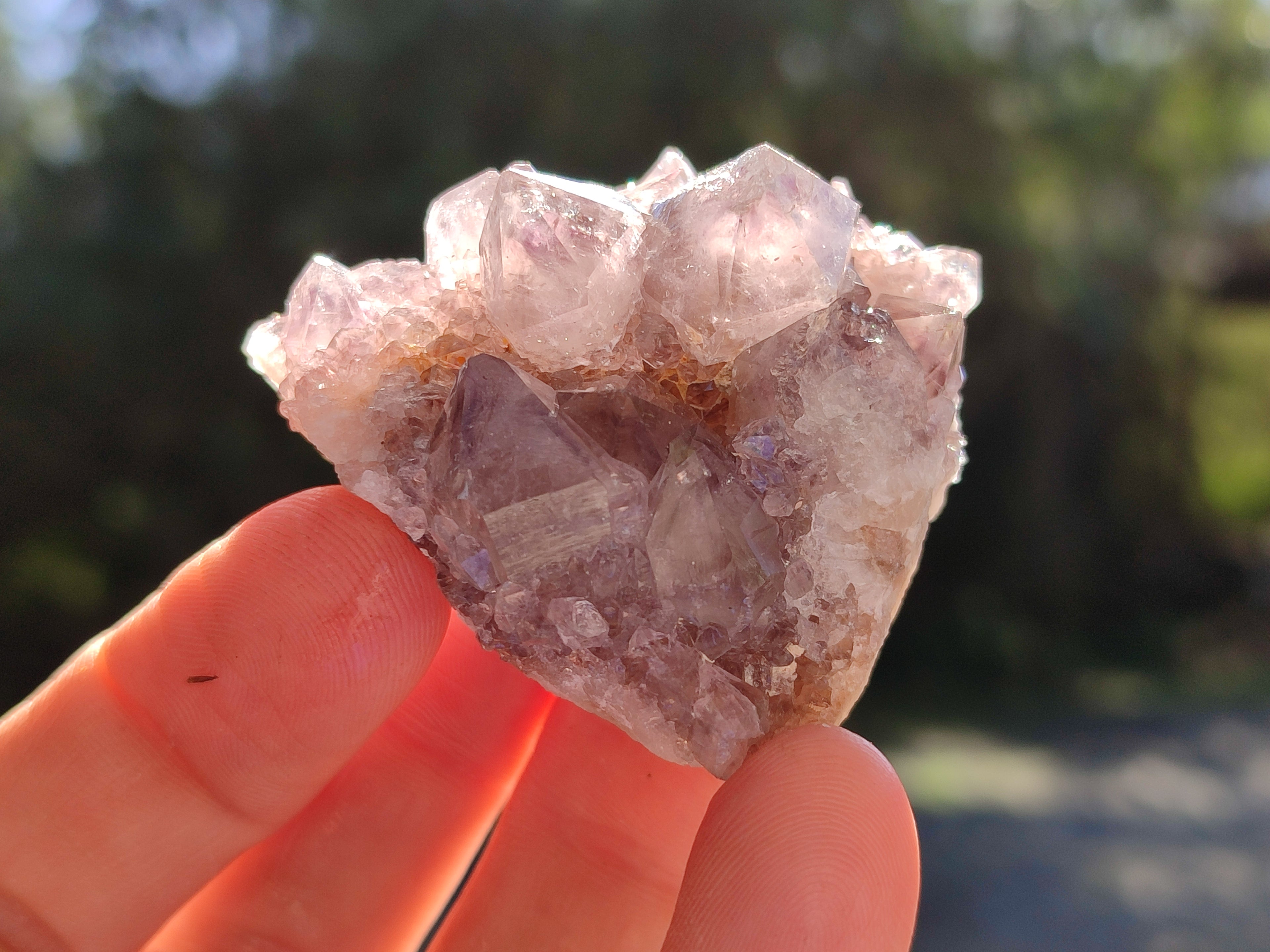Natural Amethyst Cactus Flower Spirit Quartz Cluster x 12 From South Africa - Toprock Gemstones and Minerals 