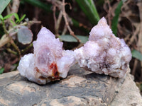 Natural Amethyst Cactus Flower Spirit Quartz Cluster x 12 From South Africa