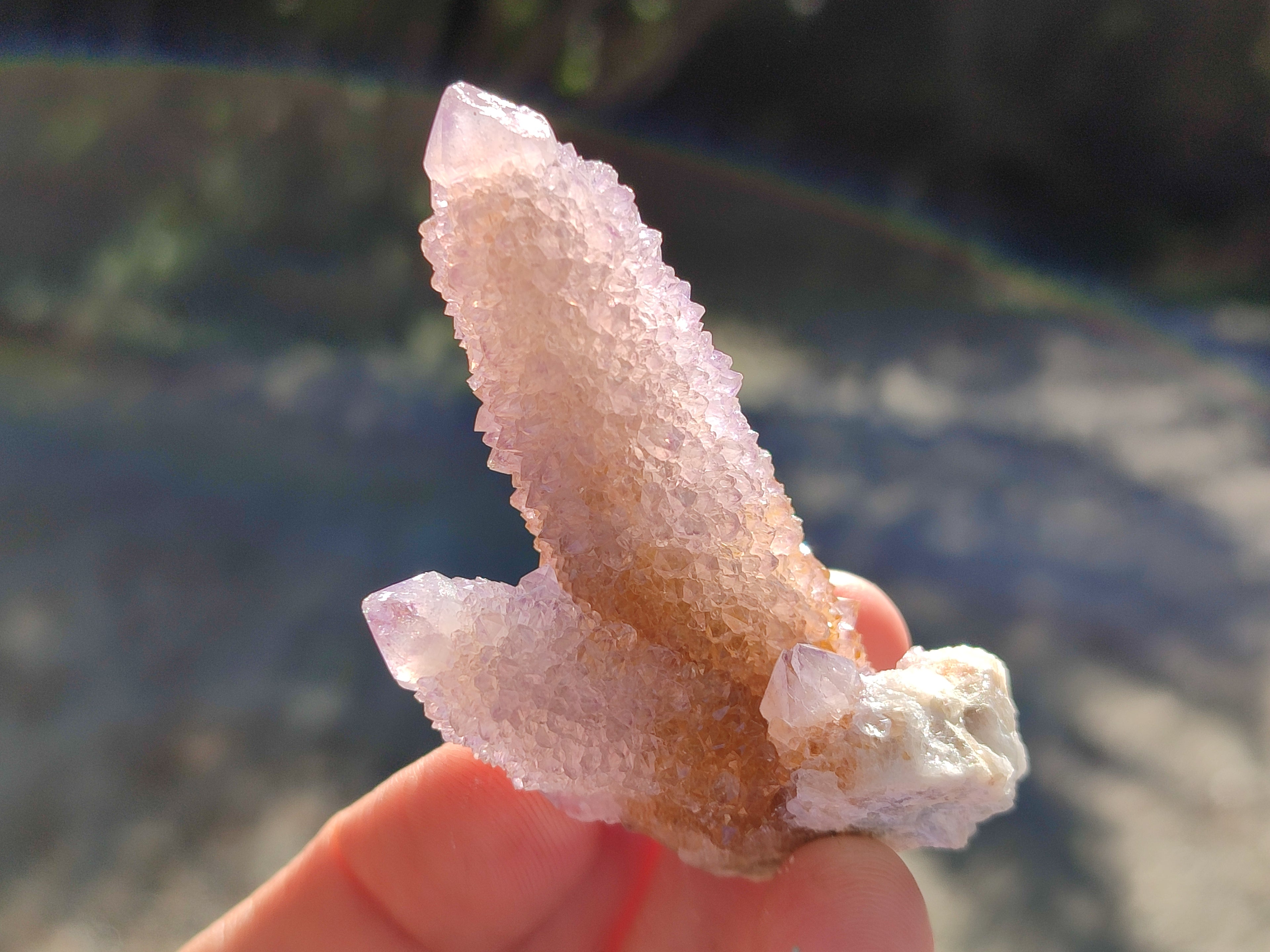 Natural Amethyst Cactus Flower Spirit Quartz Cluster x 12 From South Africa - Toprock Gemstones and Minerals 